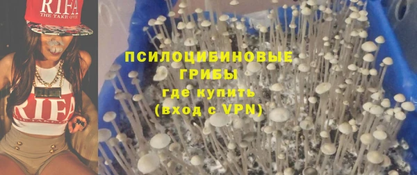 крисы Алзамай