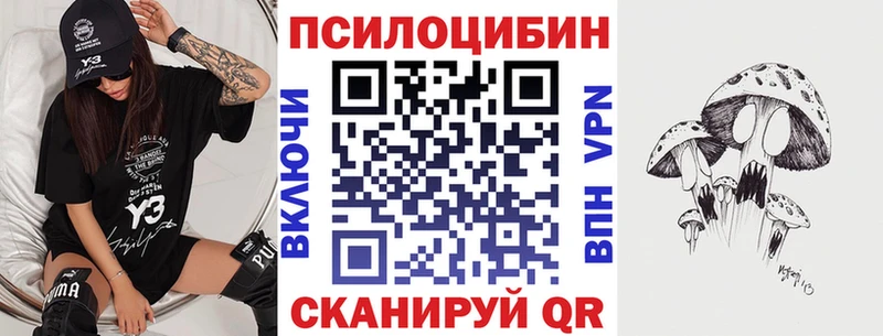 продажа наркотиков  blacksprut ССЫЛКА  Галлюциногенные грибы Cubensis  Чадан 