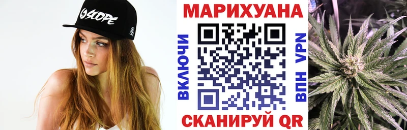 Бошки Шишки планчик  Чадан 